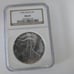1990 Silver Eagle