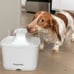Premier Pet 60 oz. Pet Fountain- Automatic water fountain for cats & small dogs