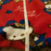 HELLO KITTY FLEECE BLANKET