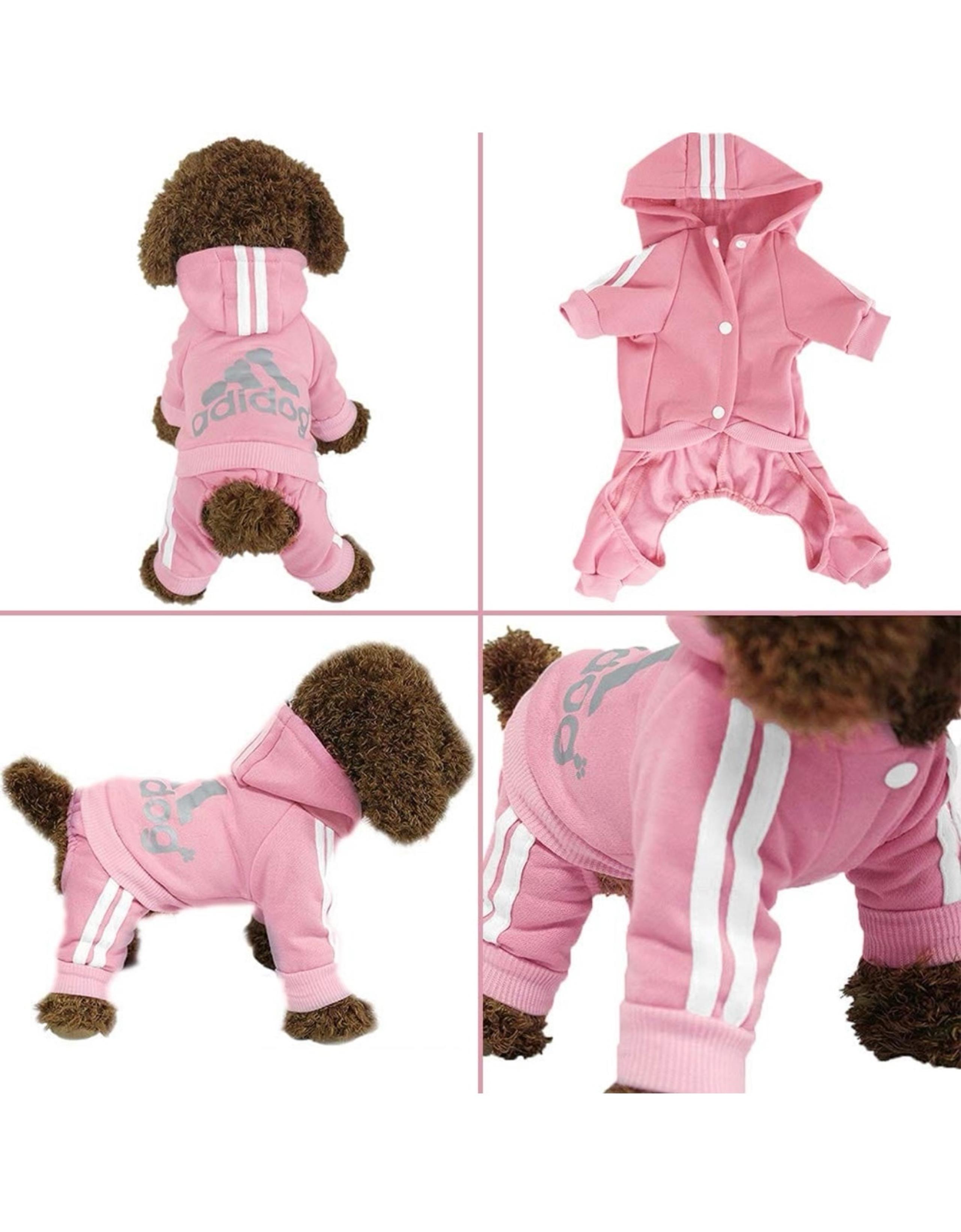 Dog track suit