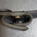 Bianchi Accumold 7200 Nylon Duty Belt Medium Fits 34-40 Tactical + Accessories