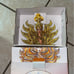 GODDESS of THE SUN BARBIE BY BOB MACKIE