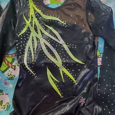 Gymnastics leotard long sleeve competition