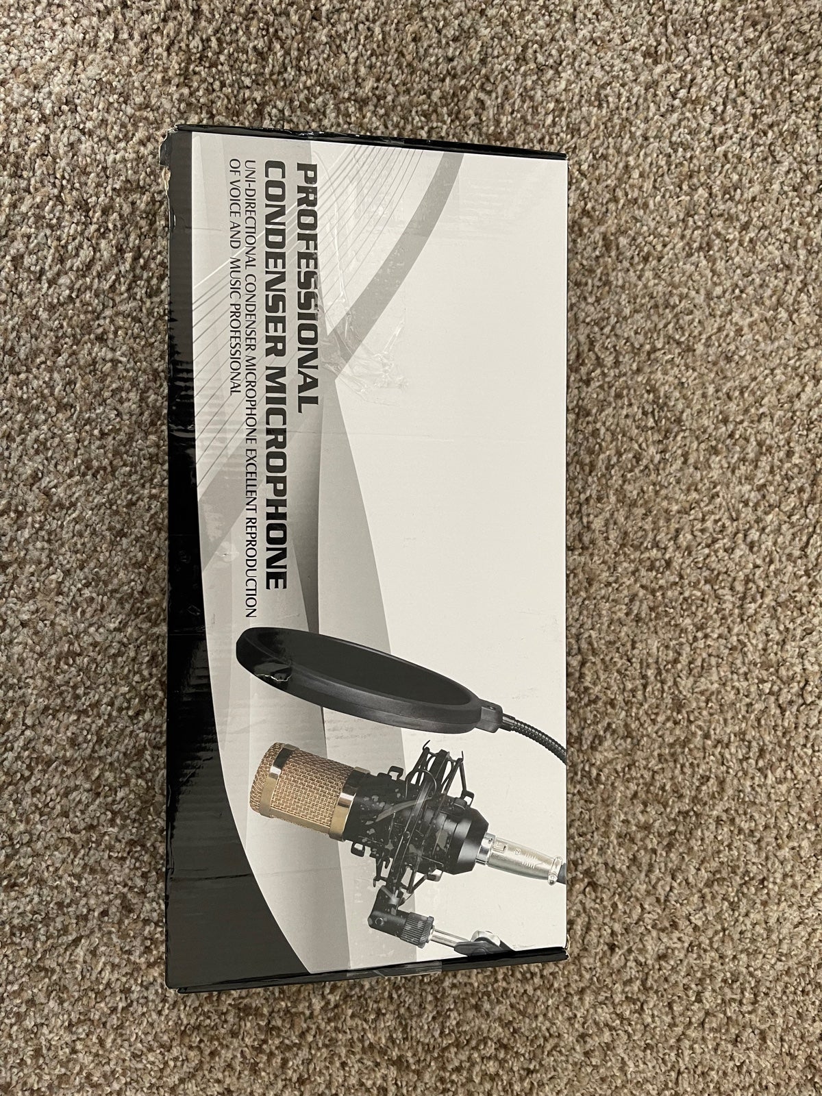 Professional condenser microphone