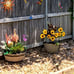 Solar Lights Outdoor Garden Decor Upgraded 3 Pack Solar Garden Lights