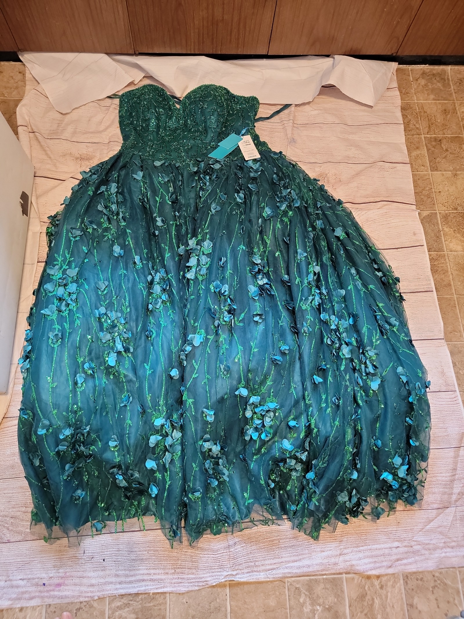 Layla Quinceanera Ball Gown Size 20