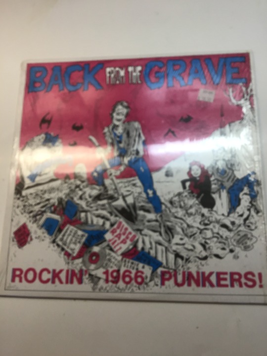 Back From The Grave - Rockin' 1966 Punkers! Vinyl Record Album