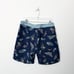 Patagonia Size 32 Tidepool Blue Clean Currents Men's Wavefarer Boardshorts Surf