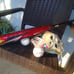 Baseball Bat BBCOR