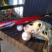 Baseball Bat BBCOR