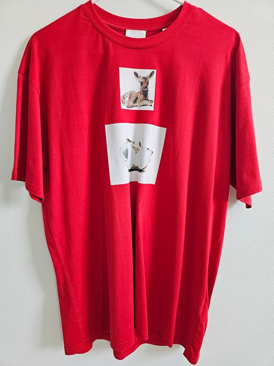 Almost NEW Burberry London Graphic Print Crew Neck T-Shirt SizeM (Original 475)
