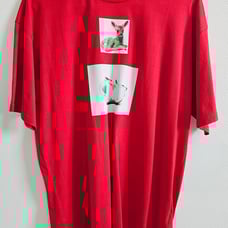 Almost NEW Burberry London Graphic Print Crew Neck T-Shirt SizeM (Original 475)