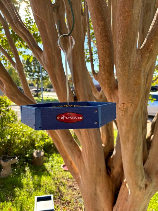 Kingsyard Platform Bird Feeder for Outdoor Hanging - Rugged Recycled Plastic Wil