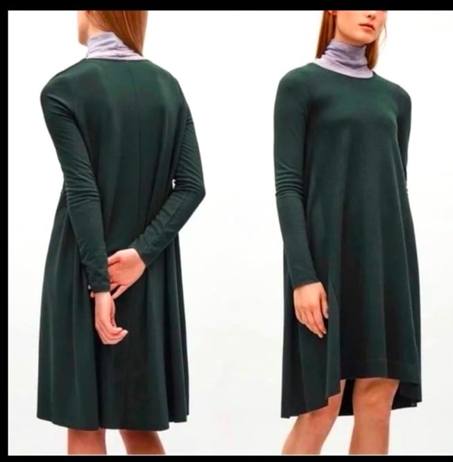 Nwot COS wool blend dress