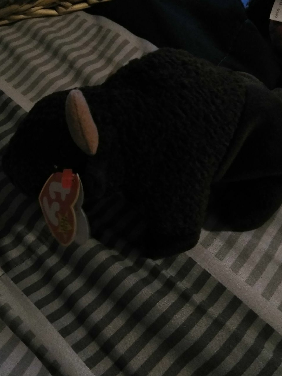 ty beanie babies Roam