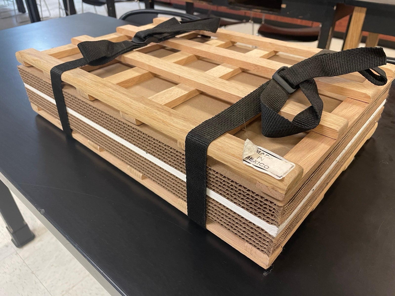 Botany professional plant press
