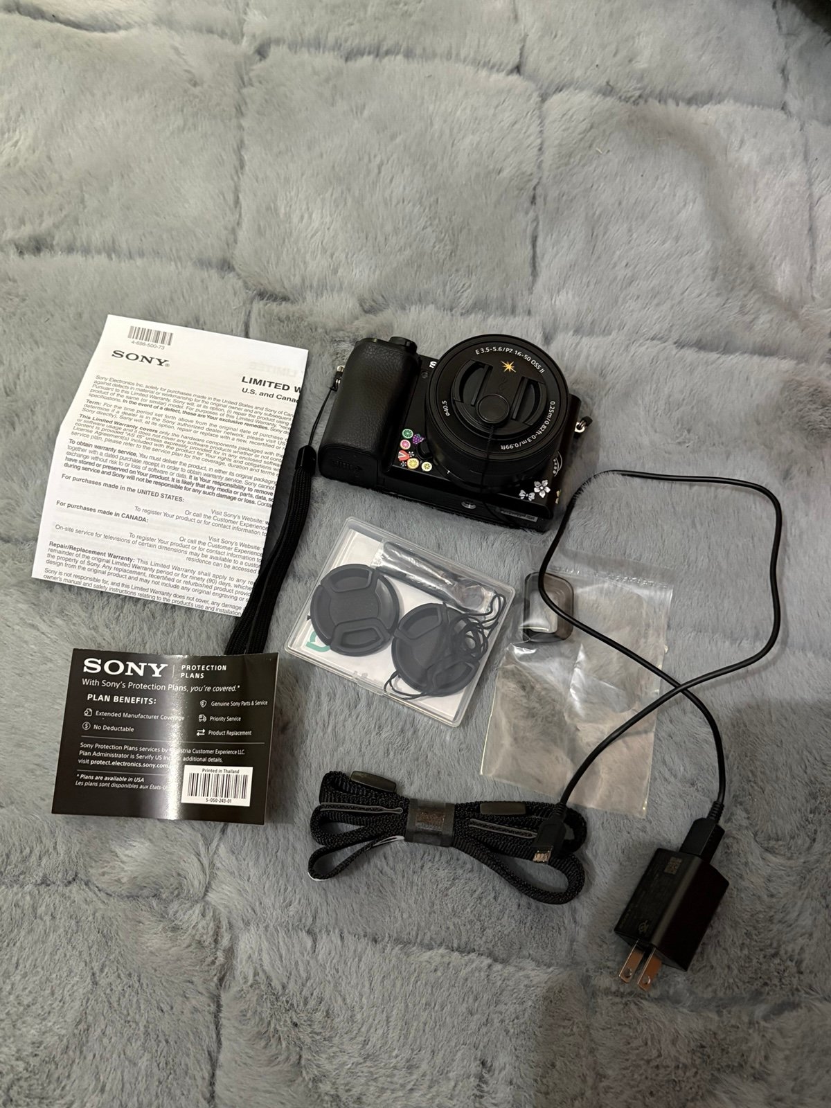 sony a6100