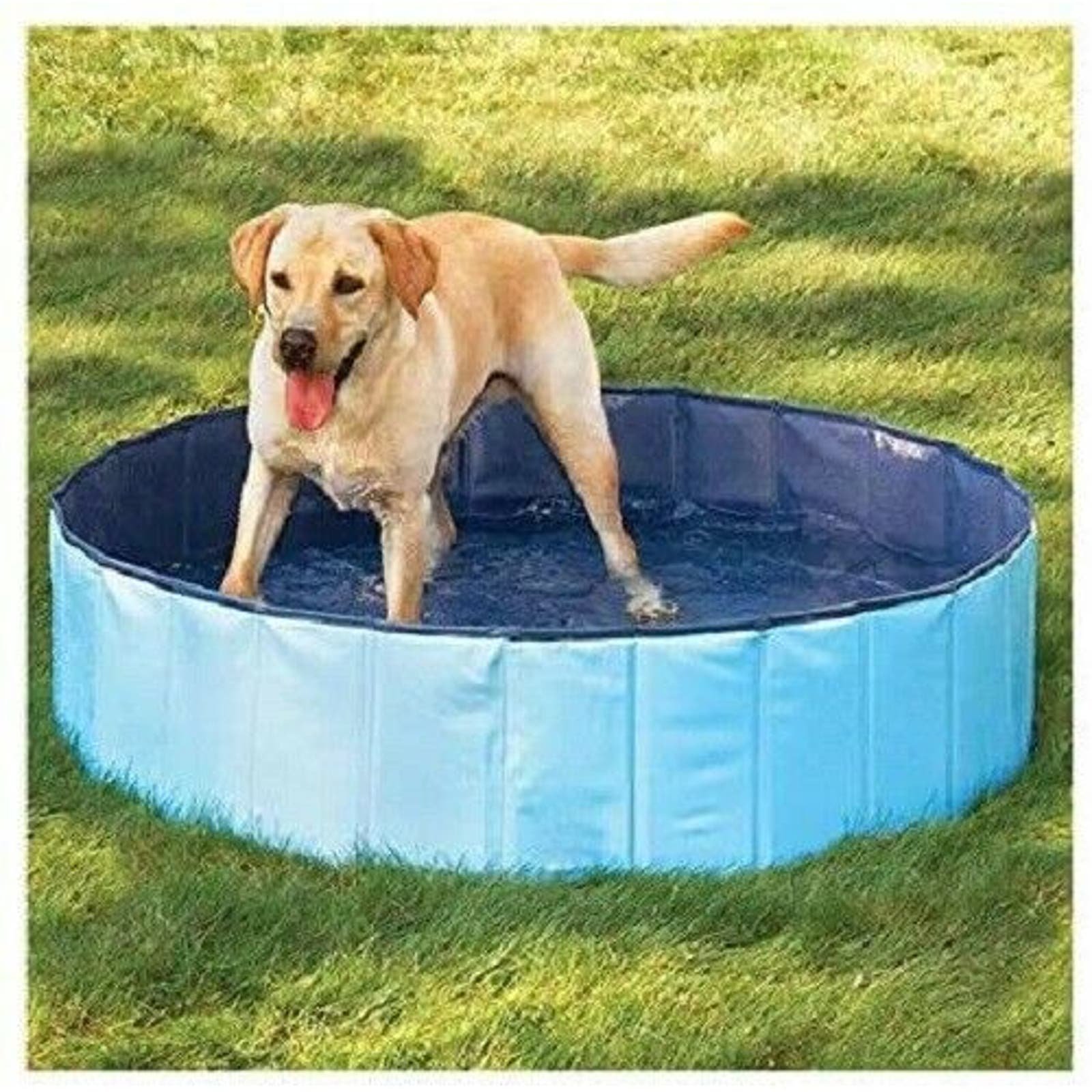 Outdoor Dog Pool Foldable Swimming Cat Bath Tub 50 Heavy Duty For Med/LARGE Pet