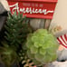 Farmhouse truck patriotic usa fourth 12