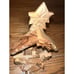 Hand Carved Olive Wood Nativity Christmas Holy Land Made in Bethlehem Israel