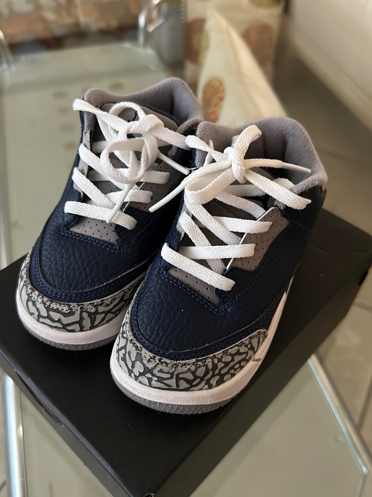 Nike Air Jordan 3 Retro Shoes