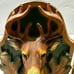Vintage Deer Head Buck Full Antler Bookends Leaves Acorns Mancave Lodge