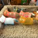 Cat Bell Transparent Plastic Cats from Blind Boxes