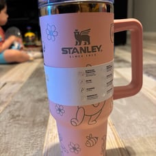 Dupe Stanley Pink Pooh 40oz