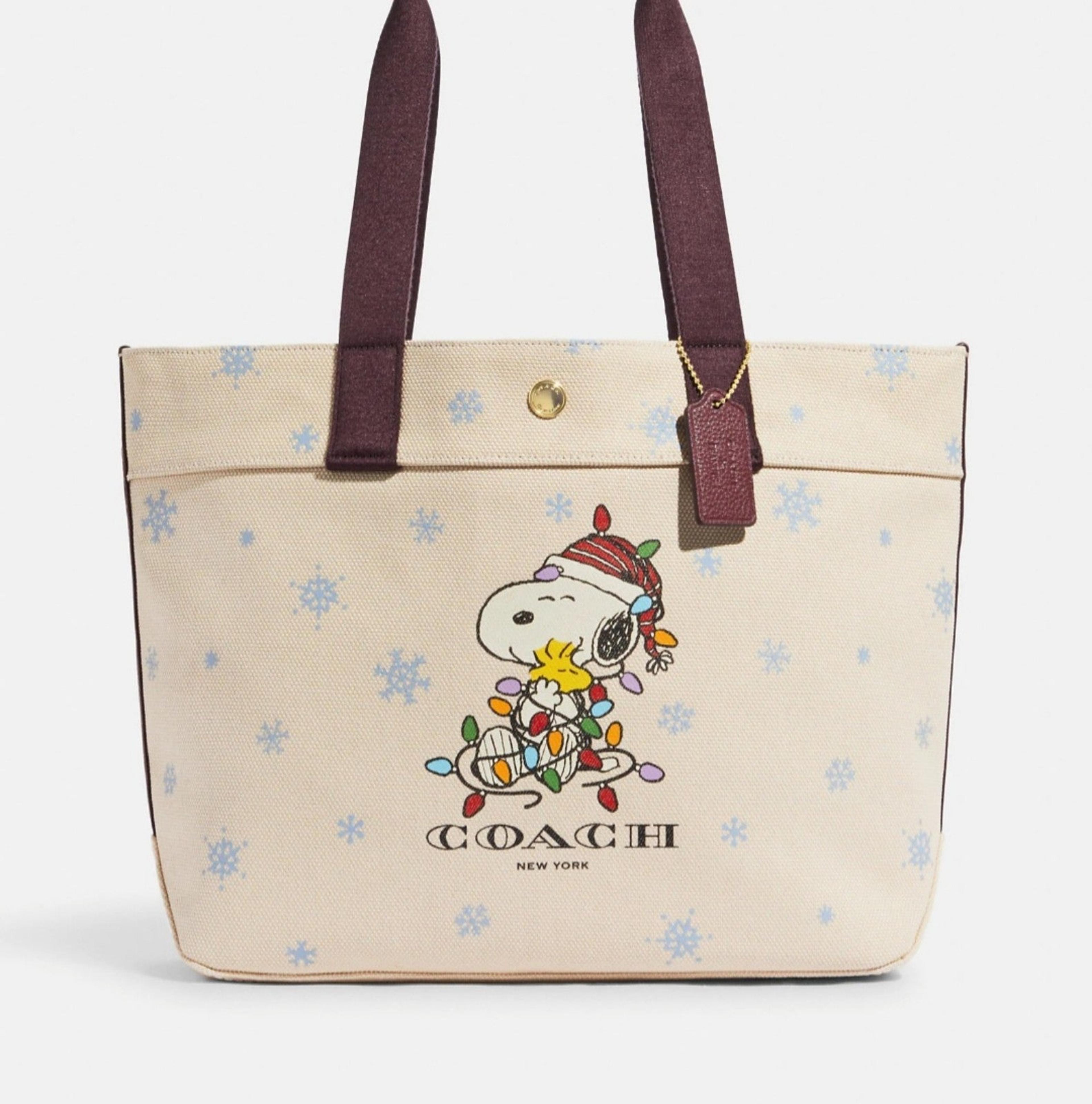 Coach christmas bag 2020 Clearance