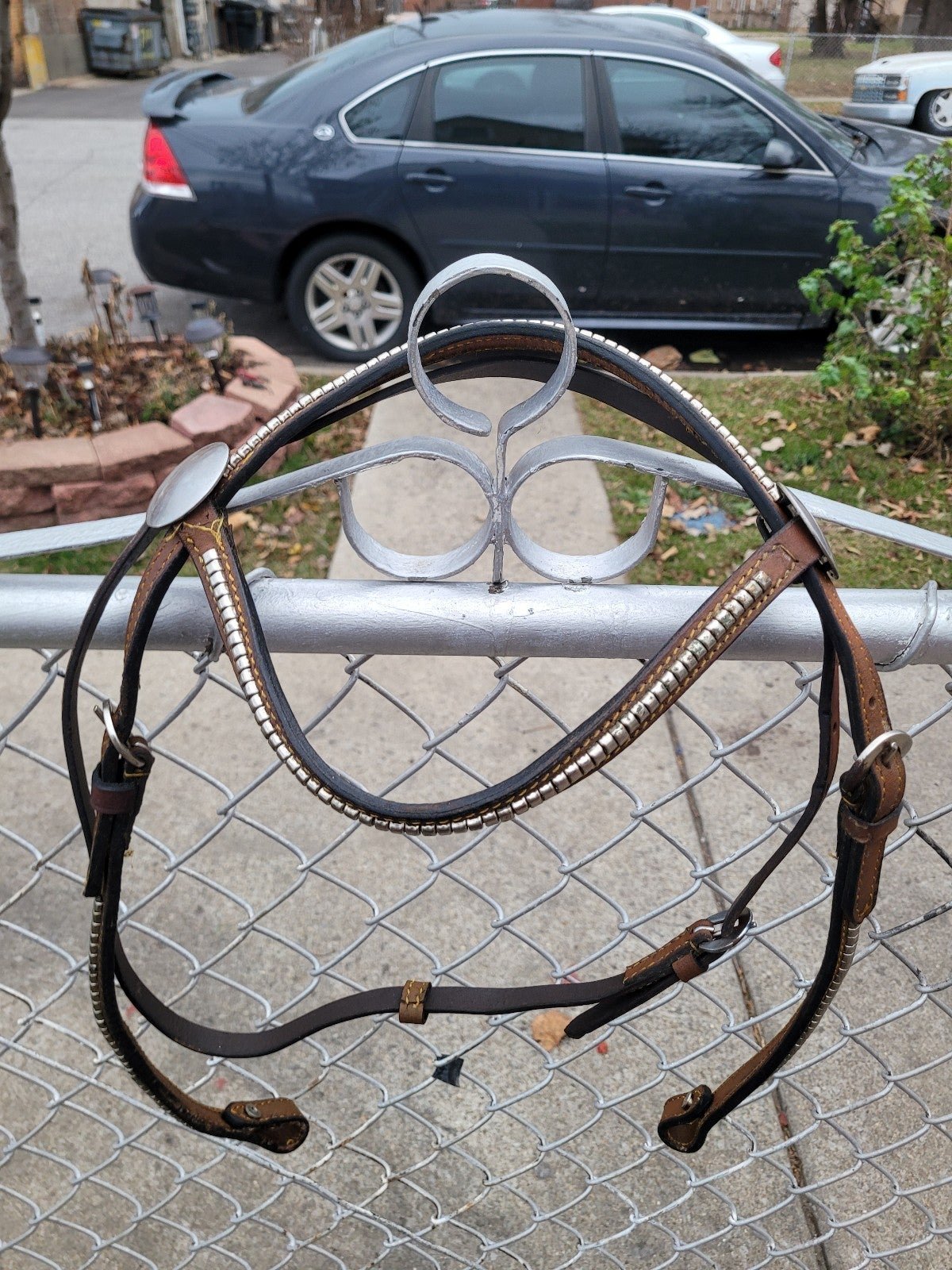 Horse Bridle with Reins & Chest Collar Set