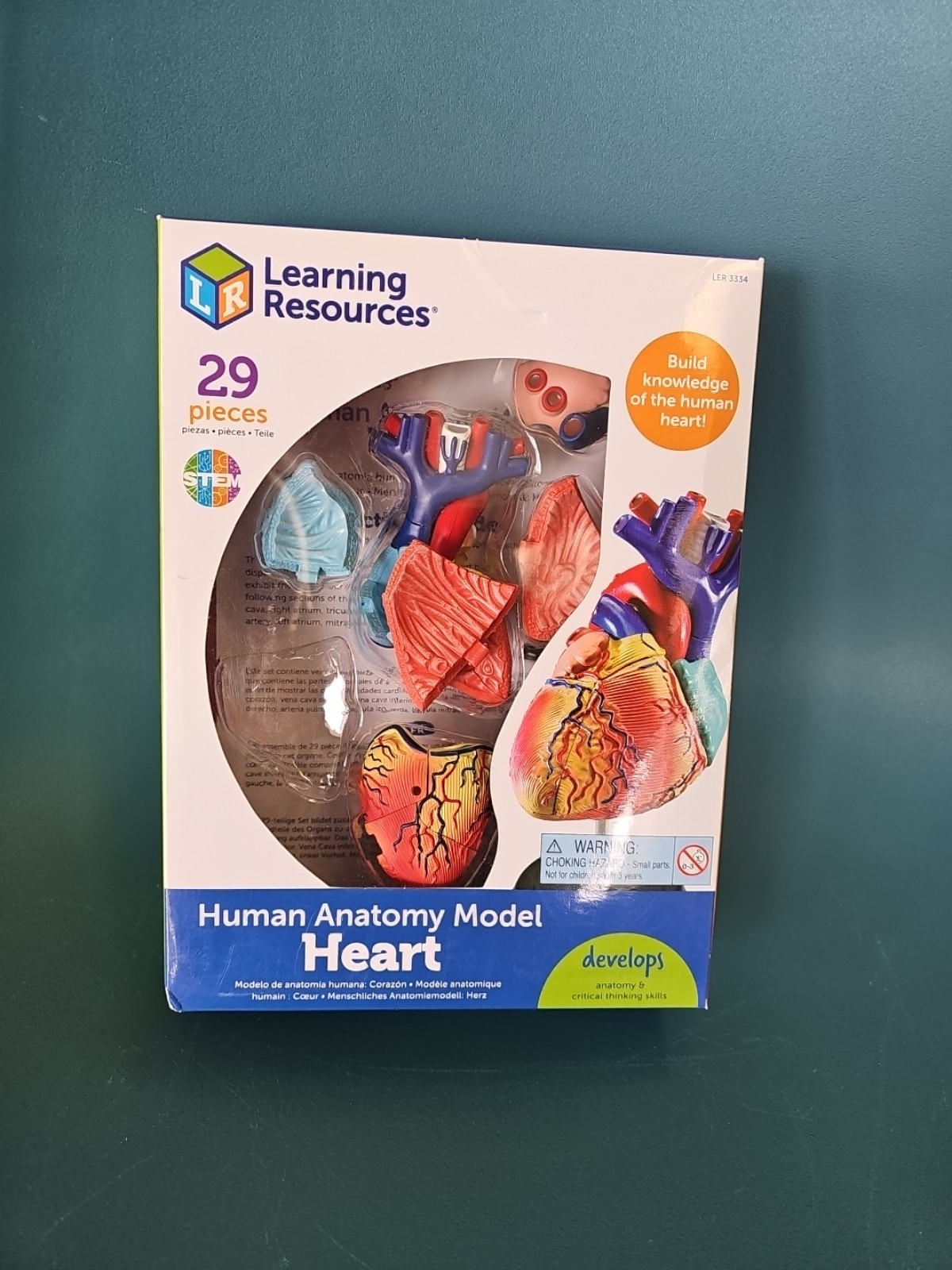 NIB Learning Resources Human Anatomy Model 3D Heart 29 Pieces STEM