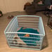 Dog pen