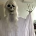 67 Halloween Animatronics Ghost Decorations, Halloween Skeleton Life Size