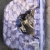 TWIN Breast feeding pillow