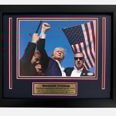 Donald Trump Assassination Attempt 8x10 photo framed