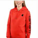 Carhartt Graphic Sleeve Pullover Hoodie