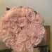 venus a fleur pink flowers