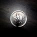 1936-s Texas Centennial half dollar coin
