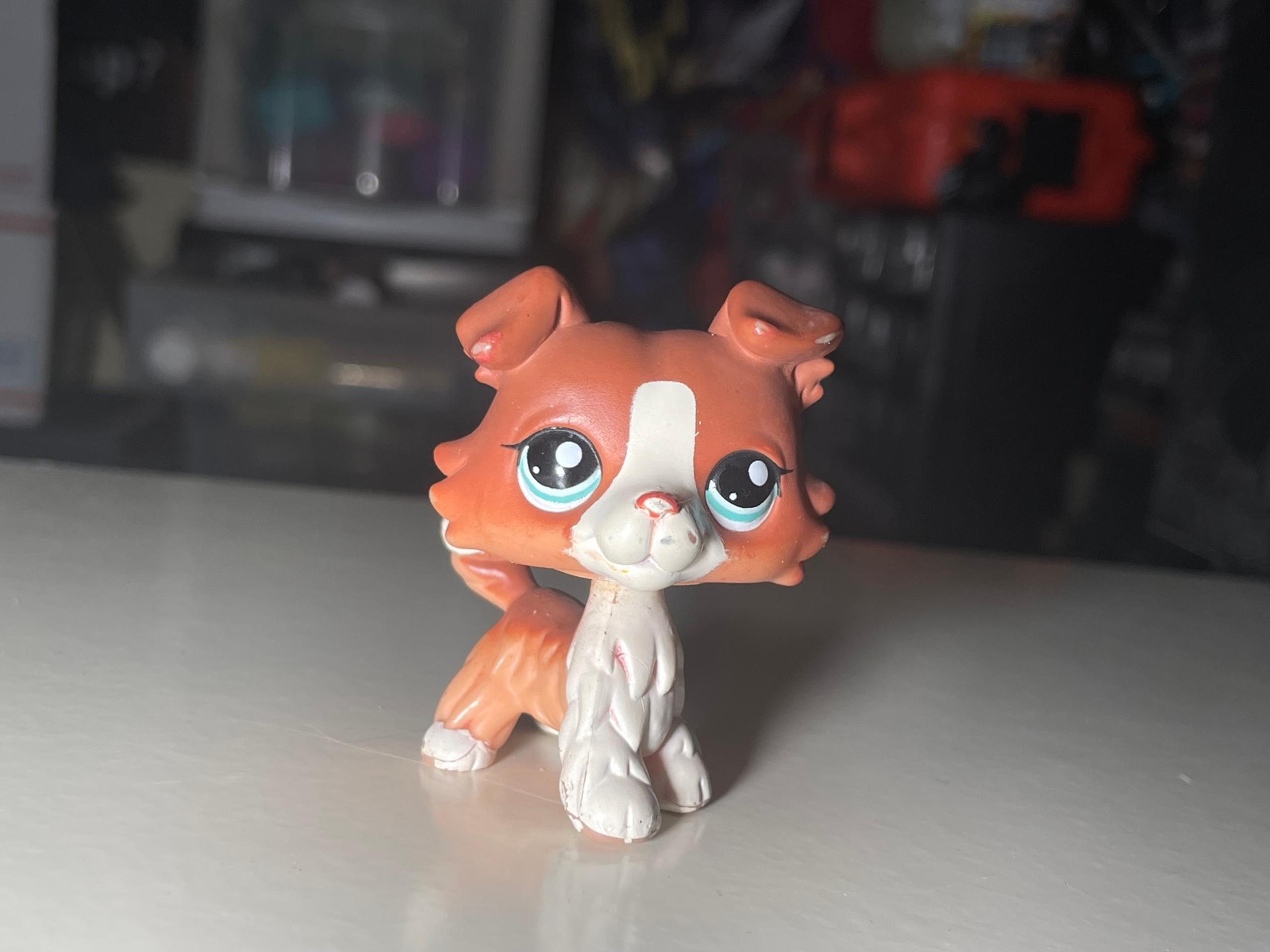 LPS #1542