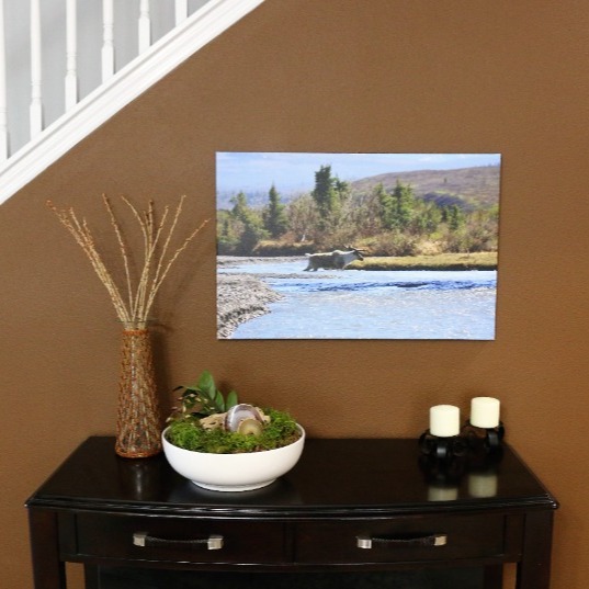 NEW Large Print on canvas Caribou Reindeer in stream in Alaska 20 x30 Parrish