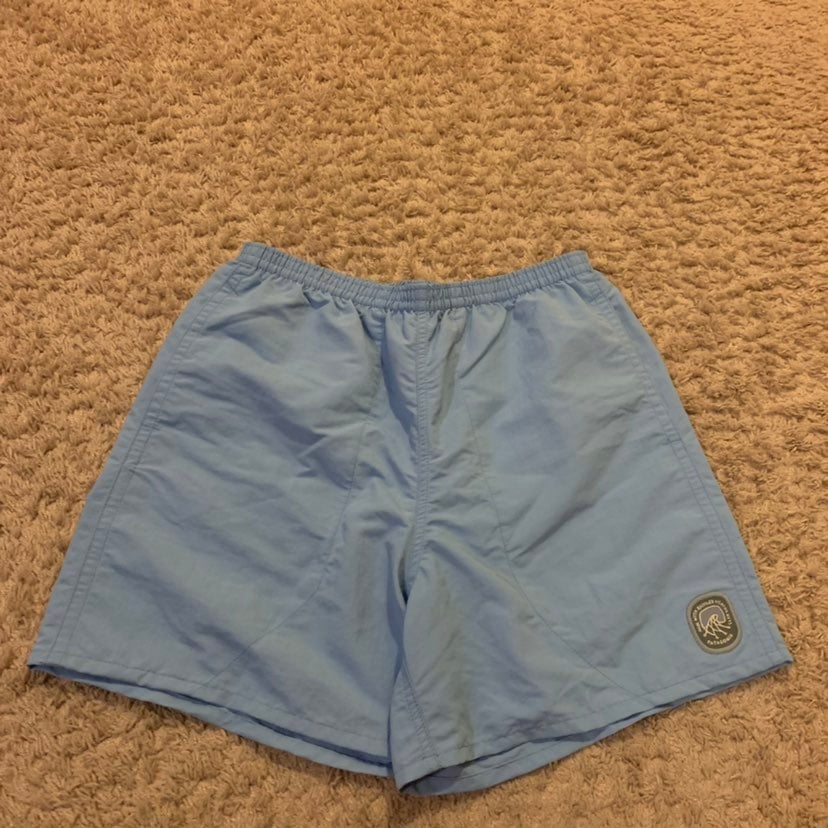Men's Patagonia Baggie 5 Blue Shorts