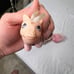 My Little Pony G1 Lot of 2 Cotton Candy and Cotton Candy Baby Vintage MLP HASBRO