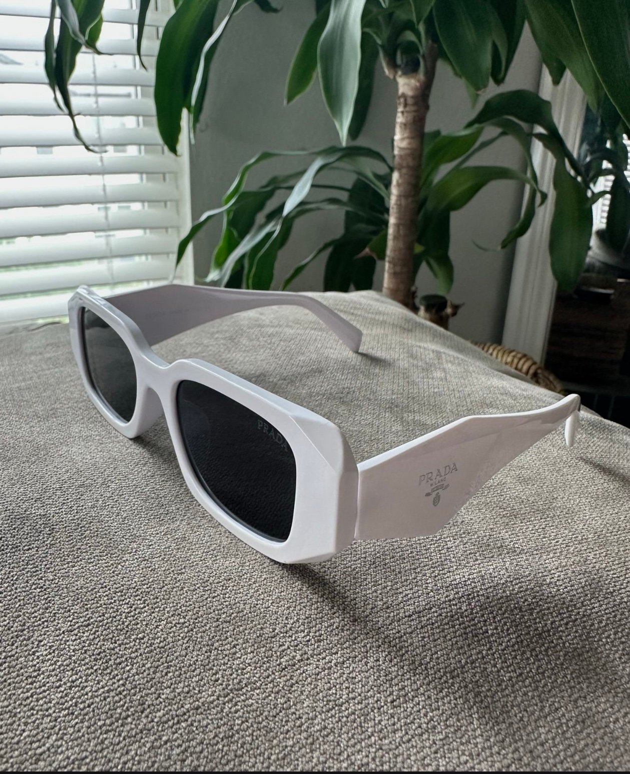 Trendy sunglasses