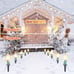 String Lights Outdoor - 25.7 Ft. C9 20 Clear Lights with 20 Stakes