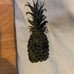 Lululemon pace breaker shorts Hawaii aloha