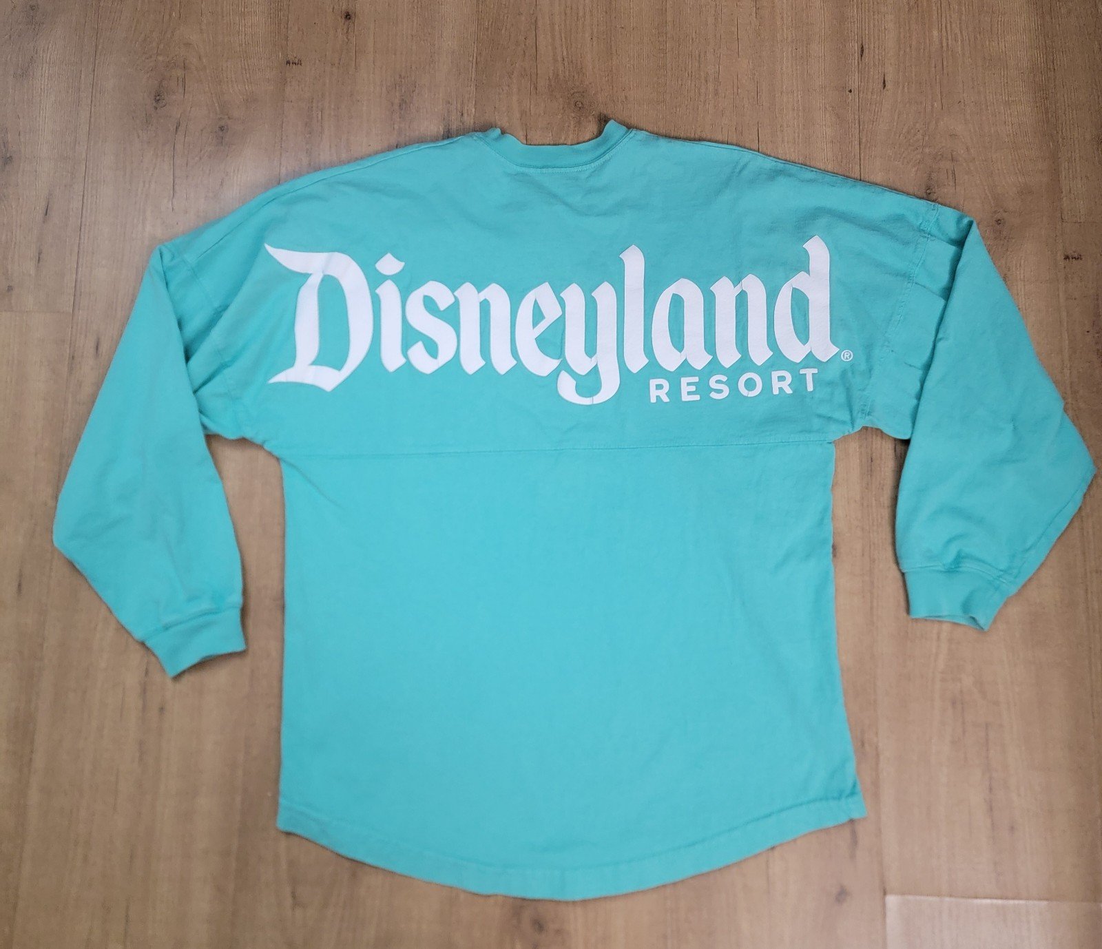 Disneyland Resort Spirit Jersey Teal