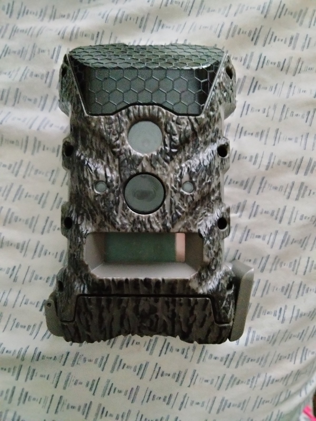 Deer cam
