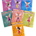 Rainbow Sugar & Spice Fairies Books