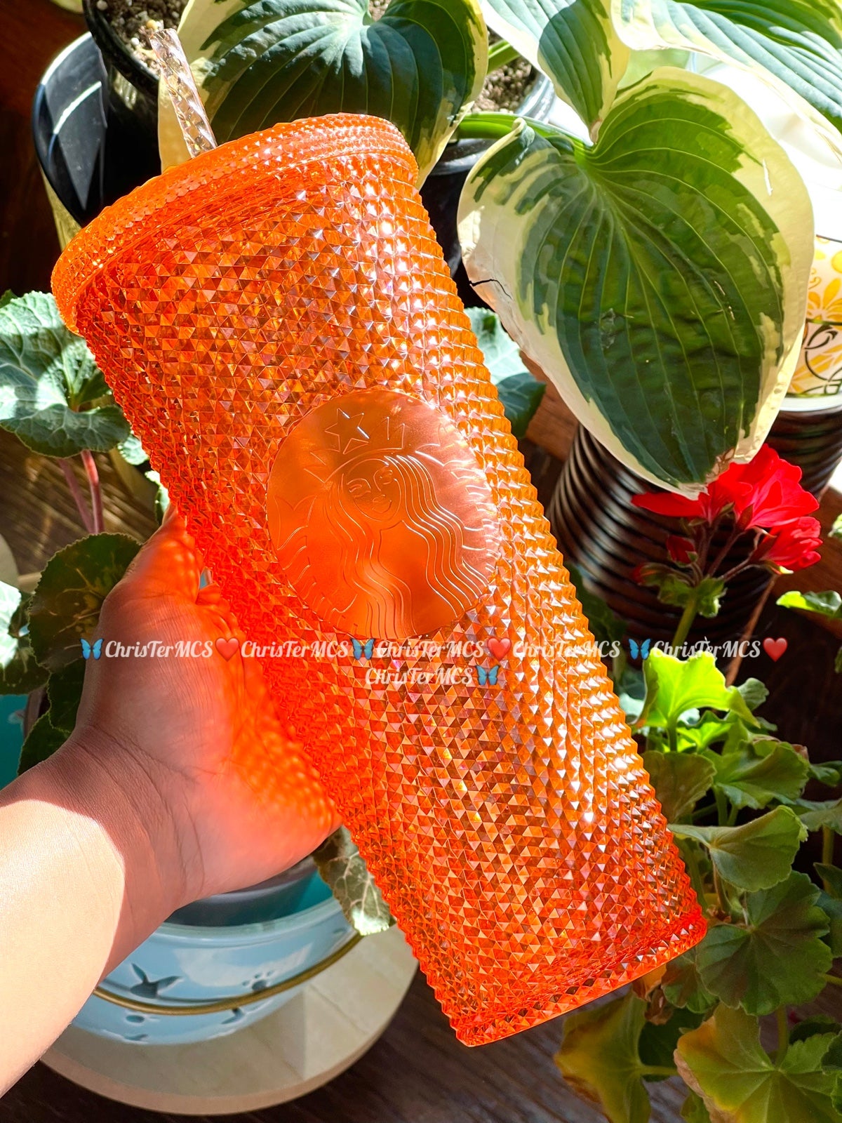 STARBUCKS STUDDED TRANSLUCENT ORANGE TAIWAN EXCLUSIVE BRANDNEW