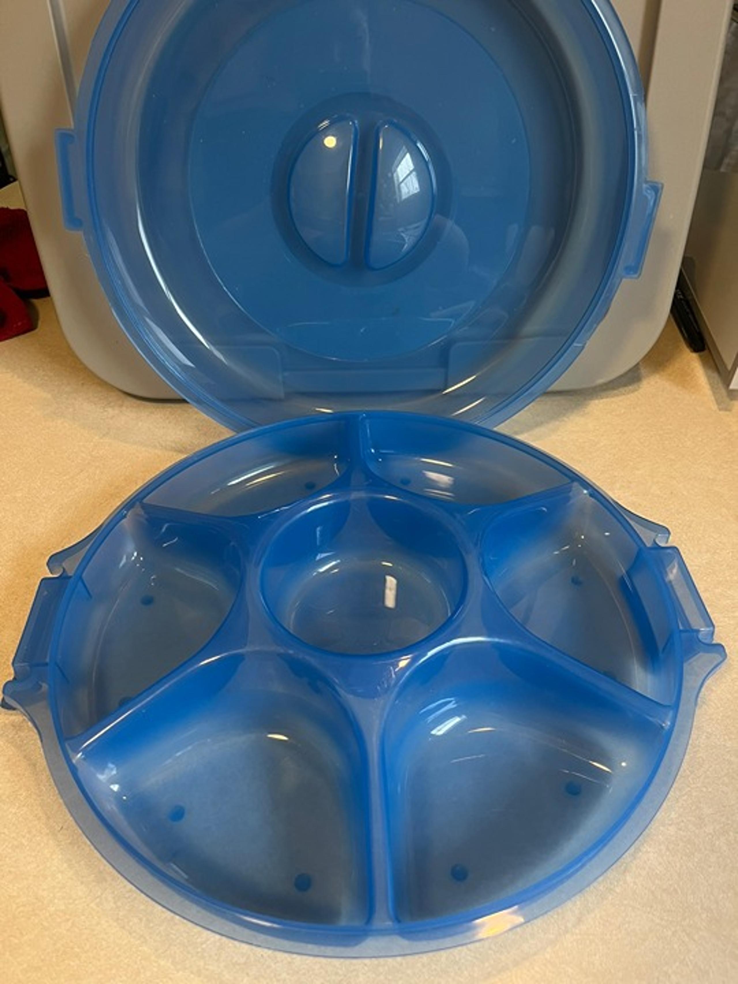 Pioneer Blue Travel 7 Compartment Vegetable Tray with Locking Lid